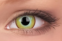 Yellow Plague Crazy Contact Lenses