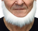 Short White Beard