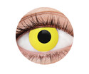 Yellow Crow Contact Lenses