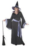 Incantasia The Glamour Witch Costume Plus Size