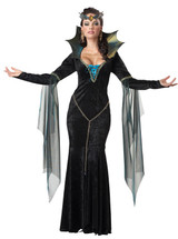 Evil Sorceress Halloween Costume