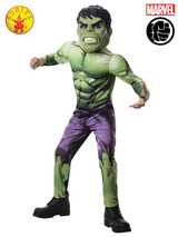 Hulk Childs Costume