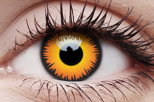 Orange Werewolf Contact Lenses