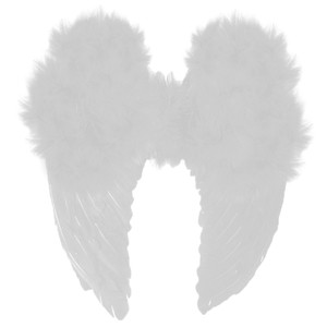 White Angel Wings XLarge