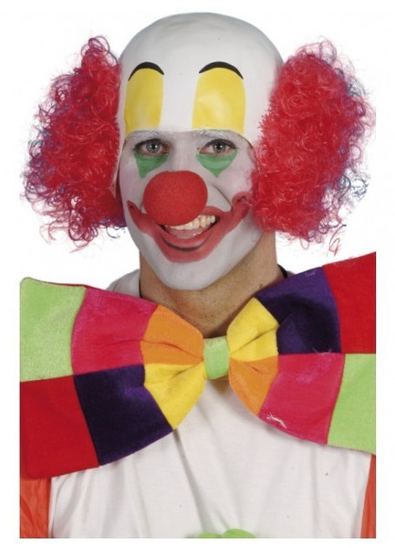 Clown Head With Hair