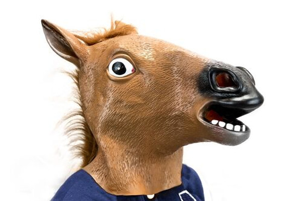 Horse Mask