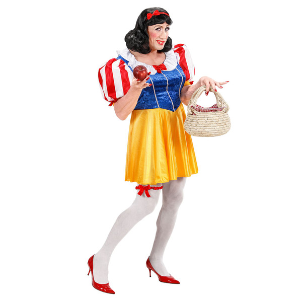 Fairy Tale Princess Adult Costume