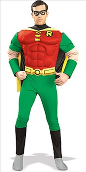 Deluxe Robin Costume