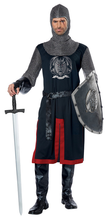 Dragon Knight Mens Costume