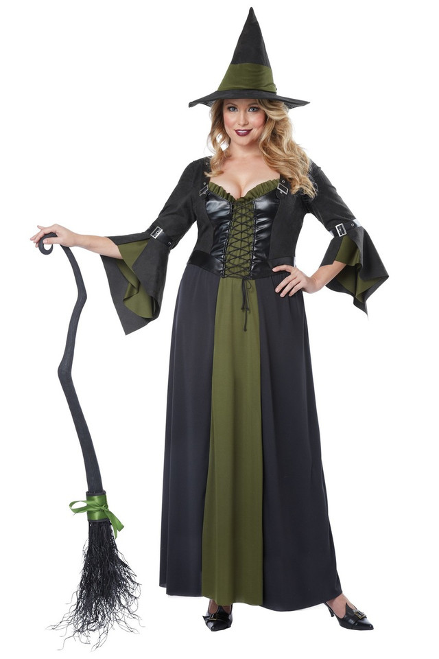 Classic Witch Costume Plus Size