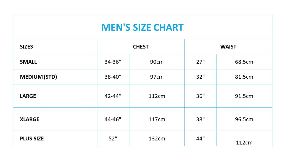 Leonardo Teenage Mutant Ninja Turtle