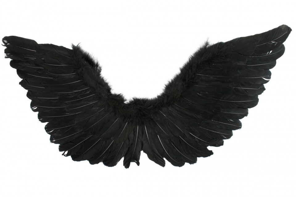 Feathered Wings Black