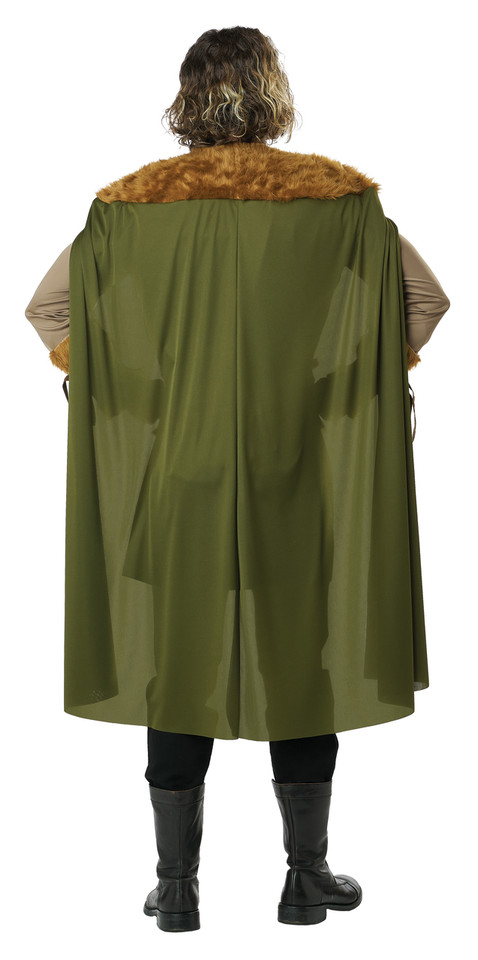 Fearless Viking Adult Costume