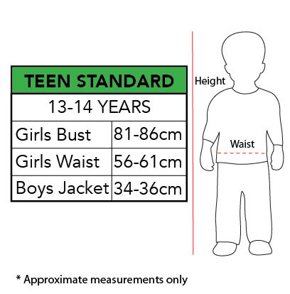 Inflatable T-Rex Teen Costume
