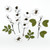 49 And Market Wildflowers Paper Flowers - Salt