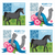 Penless Video Sticker - Set of 4 - Horses