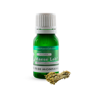 Absoluto de Te de Montaña