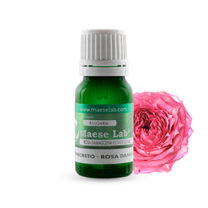 CONCRETO - Rosa Damascena