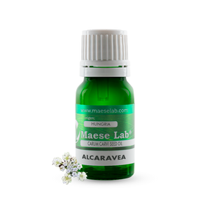 Aceite Esencial de Alcaravea: recuerda sutiles aromas del apio y el hinojo. Aceite Esencial de Alcaravea: recuerda sutiles aromas del apio y el hinojo.