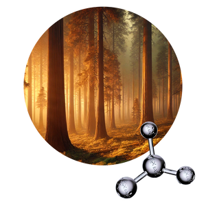 Boisambrene Forte - Aroma Chemicals. Aroma amaderado, ambarado, ámbar gris