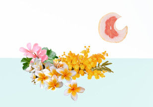 Fórmula de Perfume Natural para Bebé y Niños Fórmula de Perfume Natural para Bebé y Niños