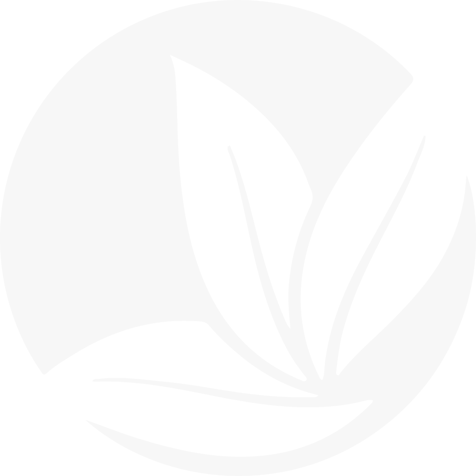 Maese Lab