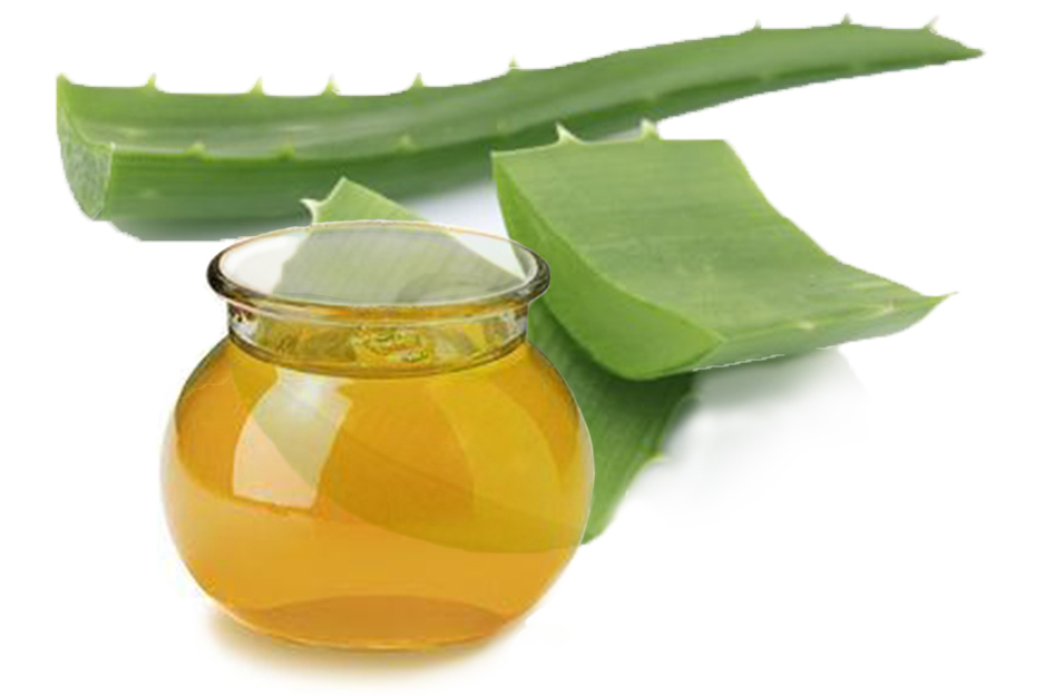 Champú Natural, Nutritivo, Anticaspa y Anticaída – Fórmula!