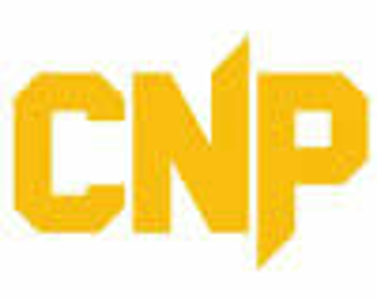 CNP Professional