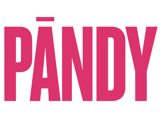 Pandy Snacks