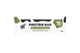 10x Low Sugar Protein Bar - Milk Chocolate Pistachio at The Protein Pick and Mix