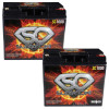 Energie SC1000 | 12-Volt 18AH AGM Super Cell Performance Battery 1000W (2 Pack)