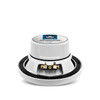 DB Drive APS65W | 6.5 Inch 250W 4 Ohm 2-Way Coaxial Marine Speakers (4 Pack) REAR PHOTO OF MAGNET