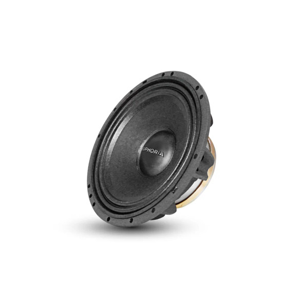 DB Drive Euphoria EPM65N | 6.5 Inch 350W 4 Ohm Pro NEO Midrange Speaker ANGLED PHOTO OF SURROUND