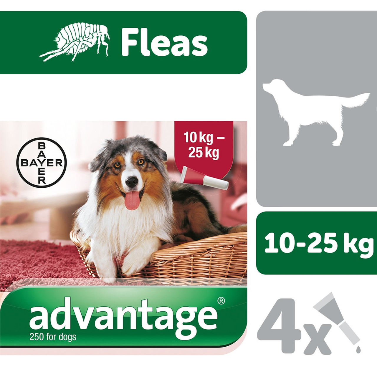 Advantage 250 hot sale for dogs