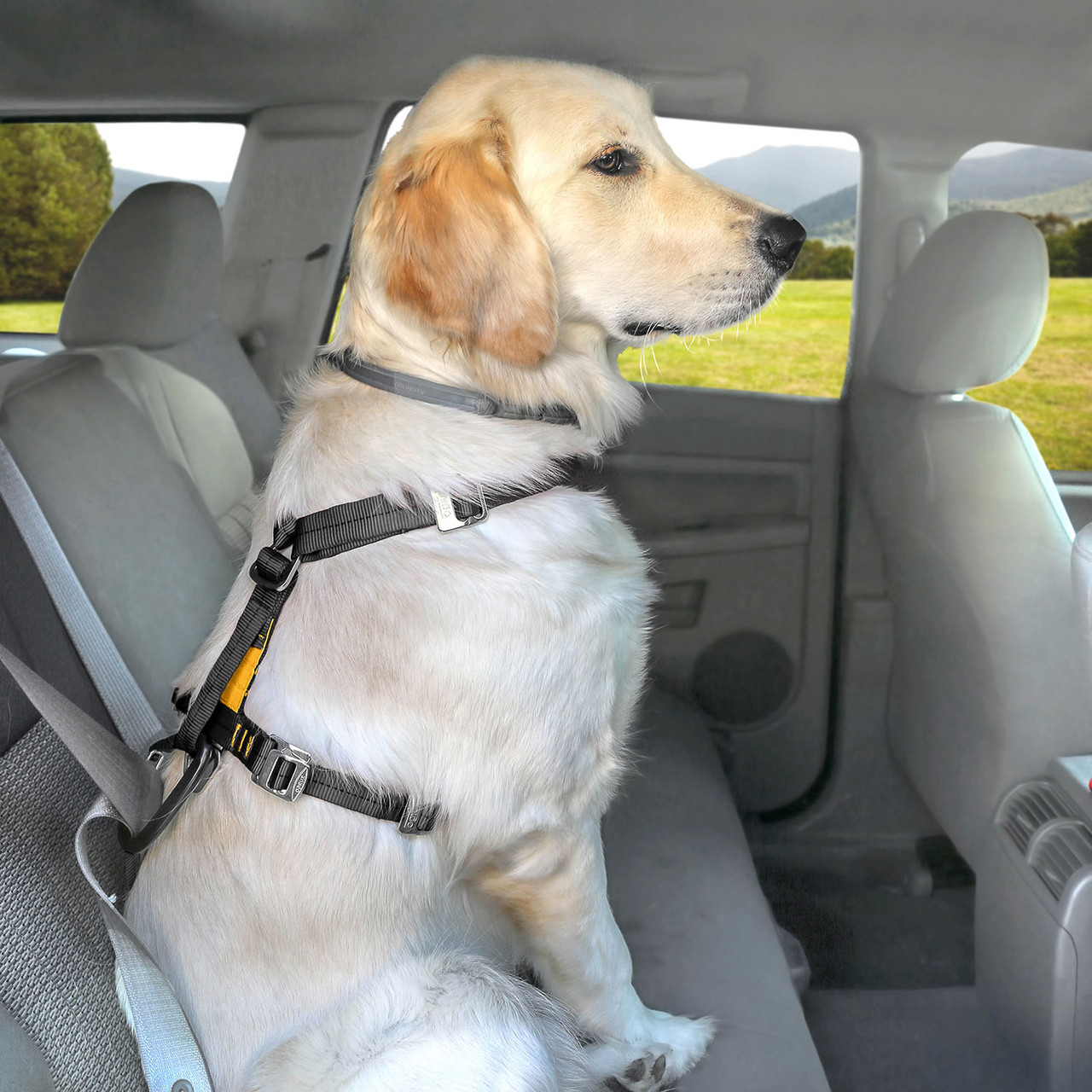 Kurgo Tru-Fit Smart Harness with Seatbelt Tether