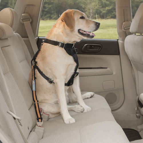 NEW Kurgo Tru-Fit Smart Dog Walking Harness Size Small Includes Seatbelt  Tether
