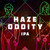 Haze Oddity IPA 5,0% - 0,44l can Haze Oddity IPA 5,0% - 0,44l can