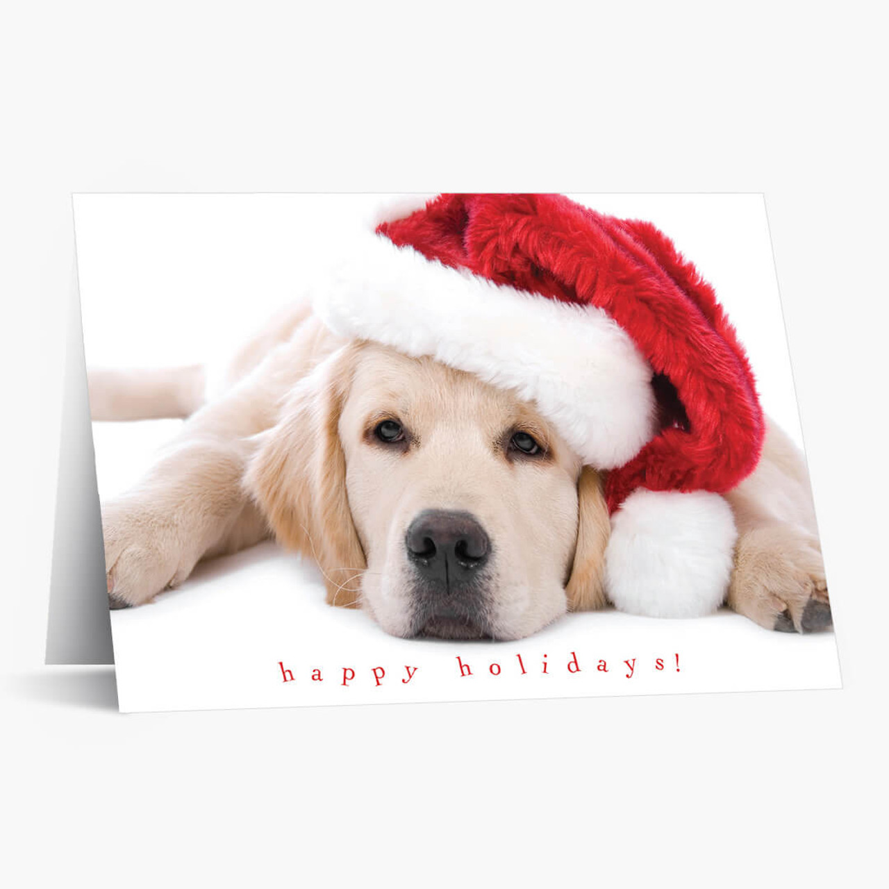 Santa Puppy Christmas Card