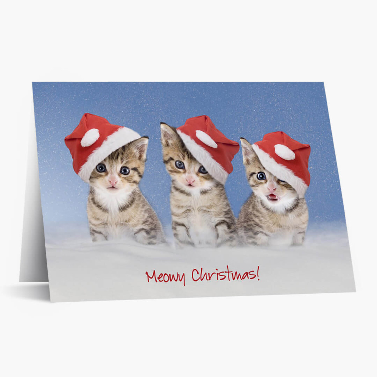 Meowy Christmas Card