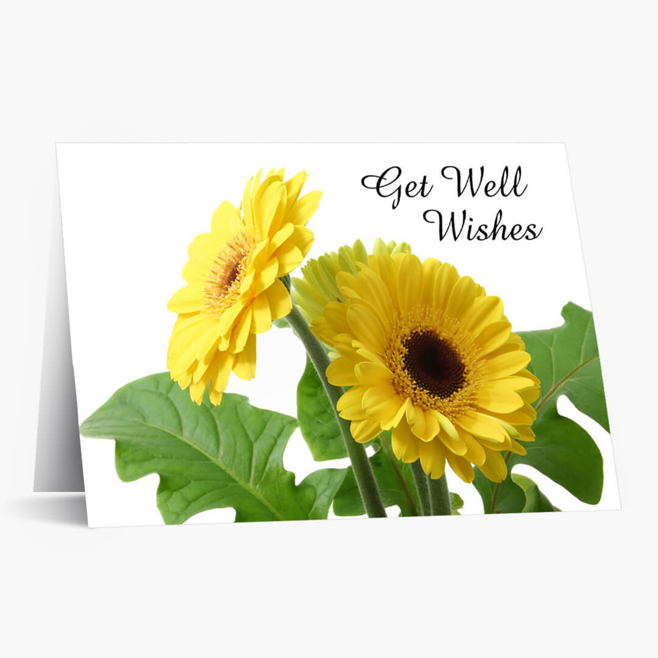 Yellow Daisy Get Well Card