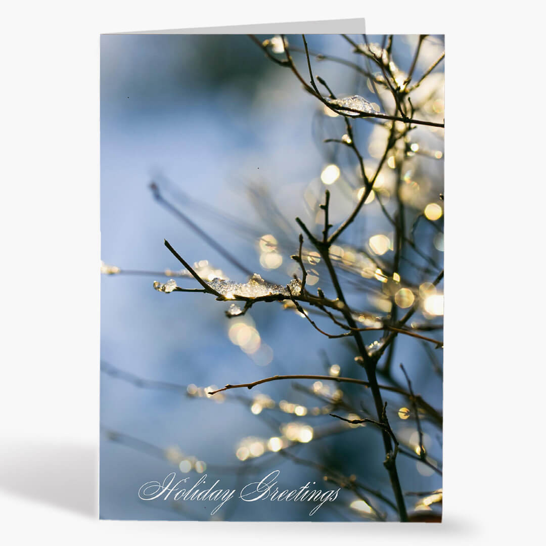 Sparkling Branch