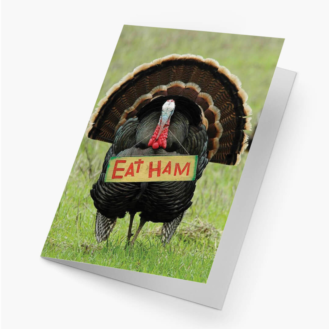 Humorous Turkey Thanksgiving Card