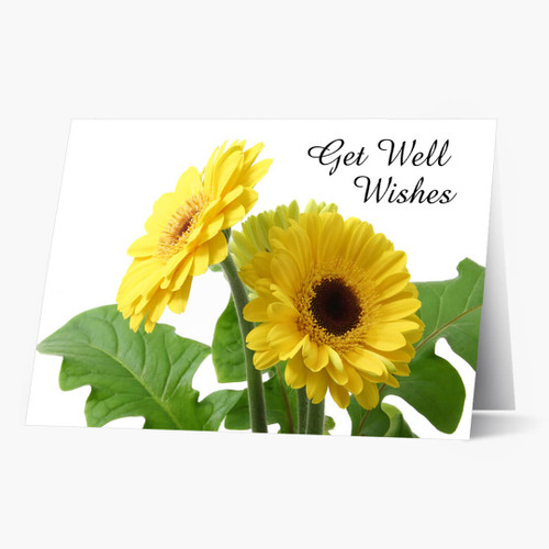 Yellow Daisy Get Well Card