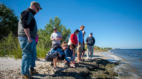 Charity Spotlight: Restore America's Estuaries