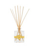 Orange Water Scent Diffuser Kit