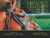 A Brush with Greatness: The Art of Thoroughbred Racing North American Horses from 2000 to Triple Crown