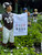 Jockey Statue Dish Towel