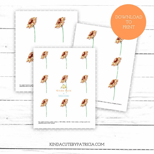 Sunflower colored printable pages