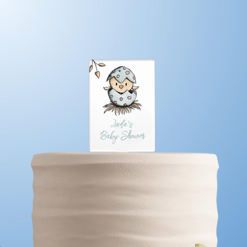 Watercolor Bird Hatching Baby Shower Cake Topper