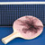 Girly Pink Modern Personalized Ping Pong Paddle